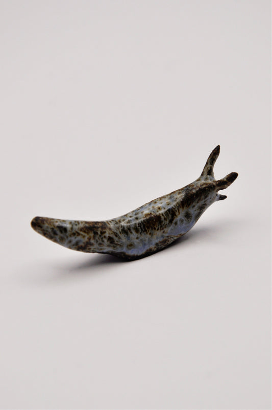 Ceramic Slug