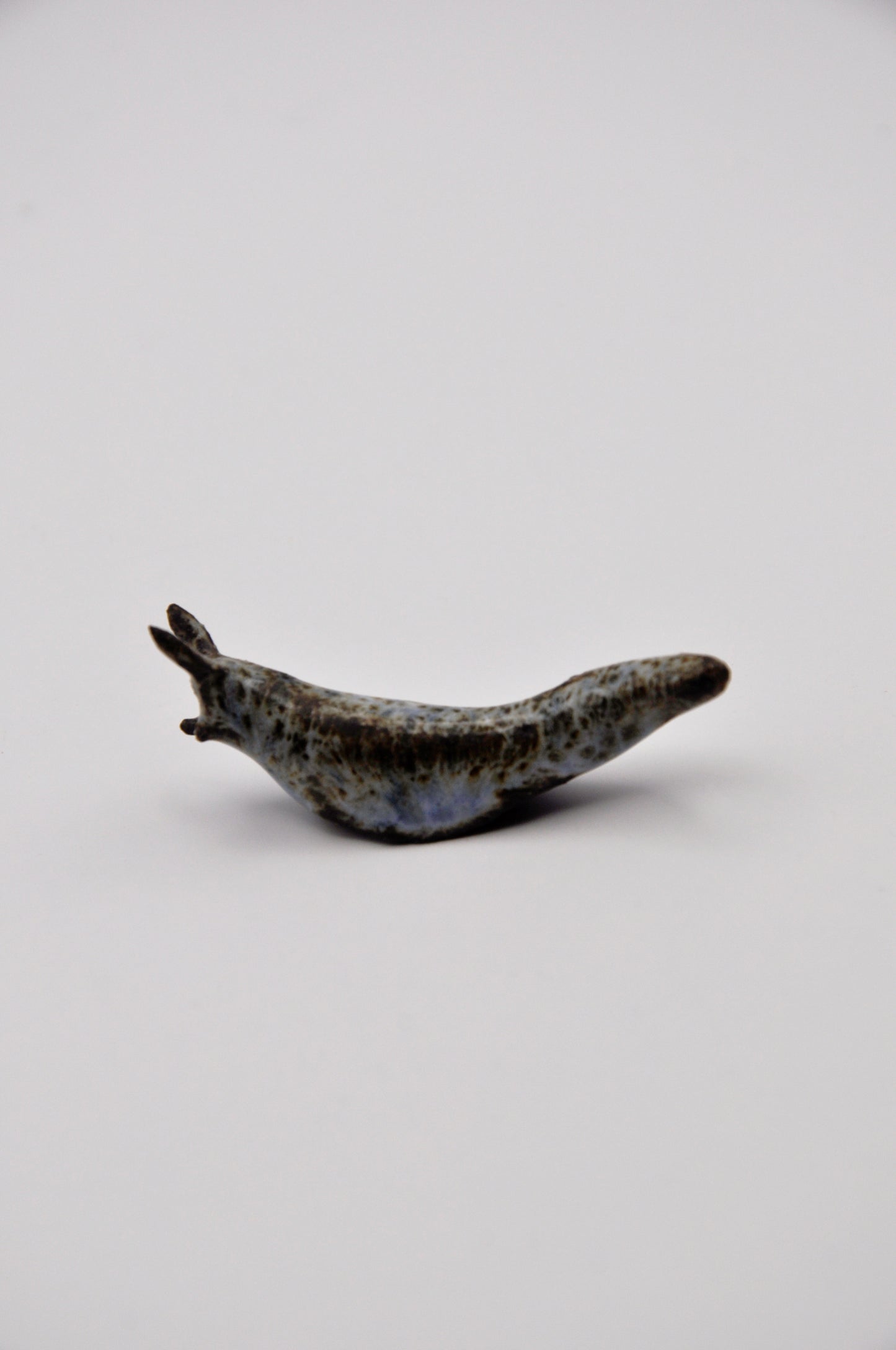 Ceramic Slug